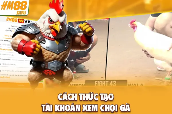 Cách thức tạo tài khoản xem chọi gà Cách thức tạo tài khoản xem chọi gà