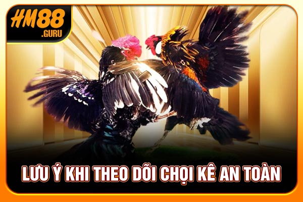 Lưu ý khi theo dõi chọi kê an toàn Lưu ý khi theo dõi chọi kê an toàn